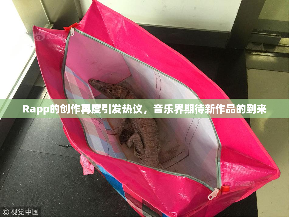 Rapp的创作再度引发热议，音乐界期待新作品的到来