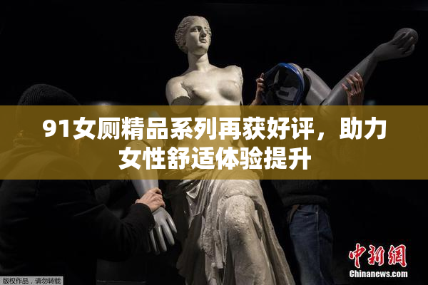 91女厕精品系列再获好评，助力女性舒适体验提升