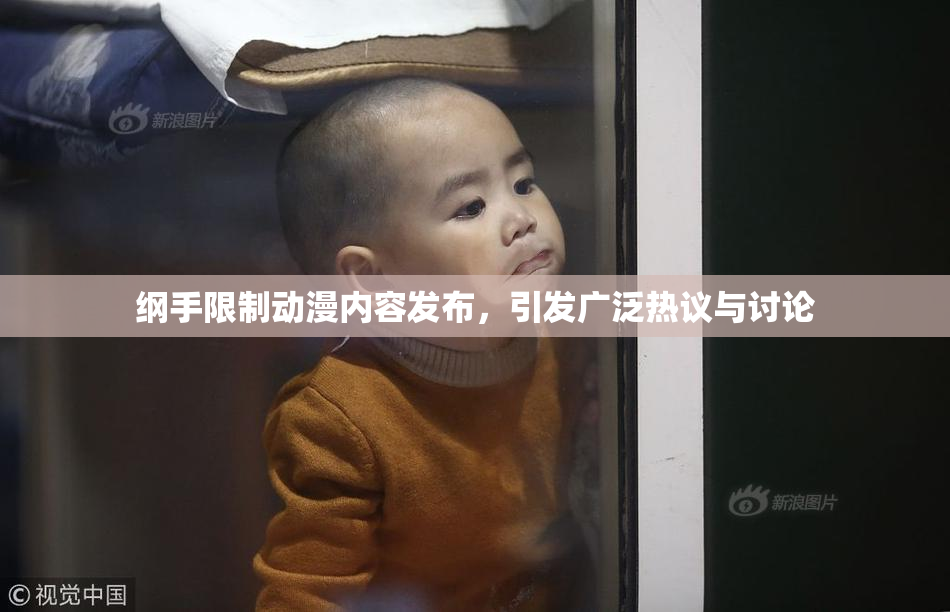 纲手限制动漫内容发布，引发广泛热议与讨论