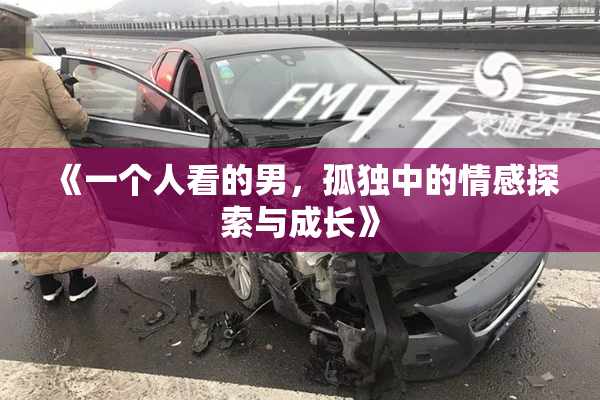 《一个人看的男，孤独中的情感探索与成长》