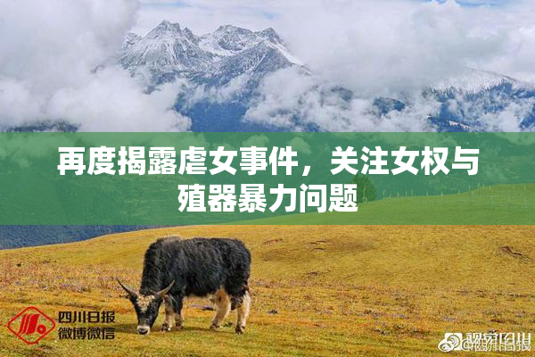 再度揭露虐女事件，关注女权与殖器暴力问题