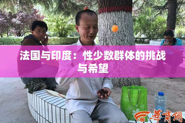 法国与印度：性少数群体的挑战与希望