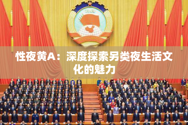 性夜黄A：深度探索另类夜生活文化的魅力