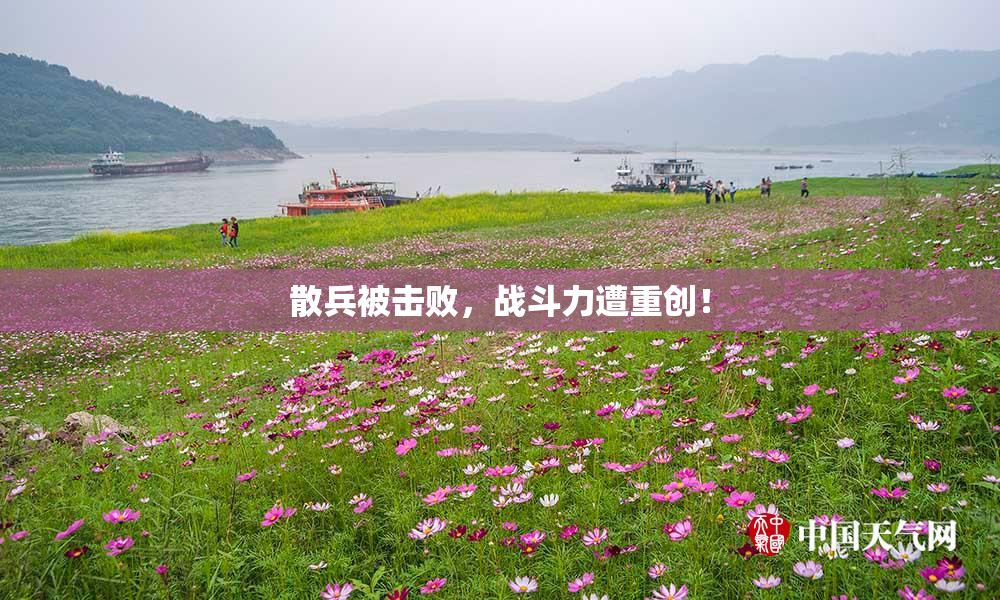 散兵被击败，战斗力遭重创！