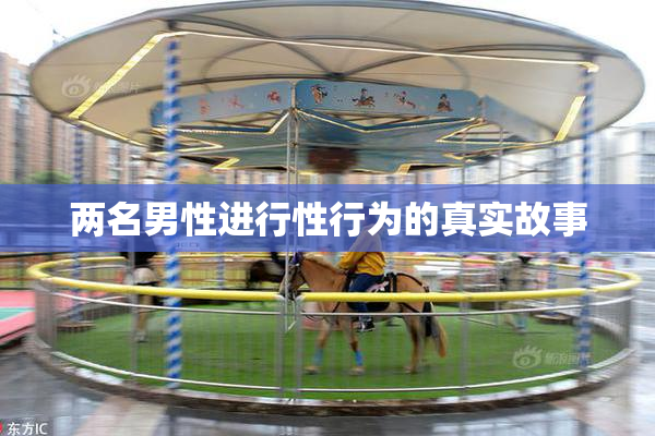 两名男性进行性行为的真实故事