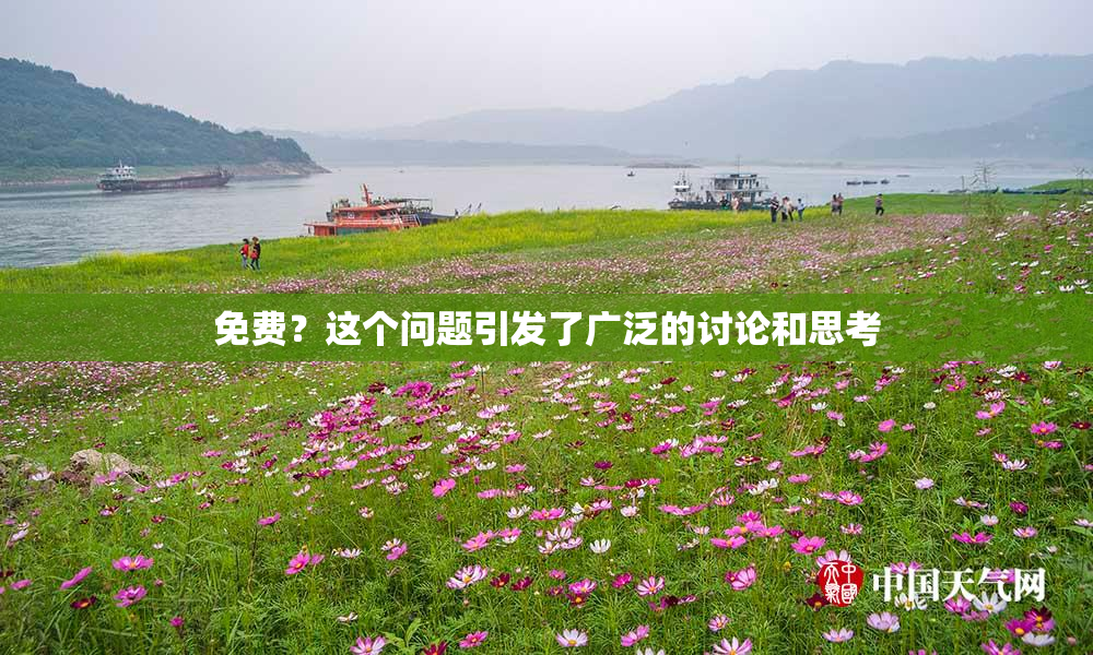 免费？这个问题引发了广泛的讨论和思考