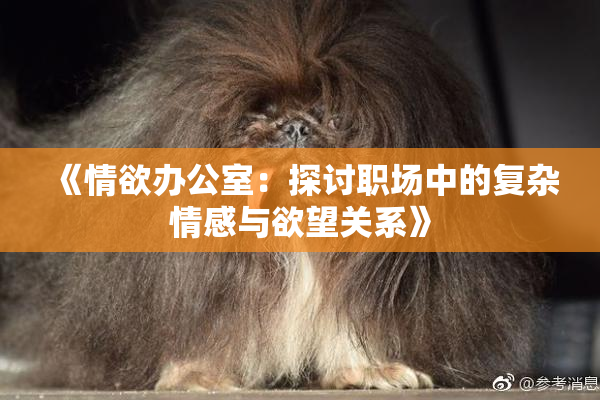 《情欲办公室：探讨职场中的复杂情感与欲望关系》