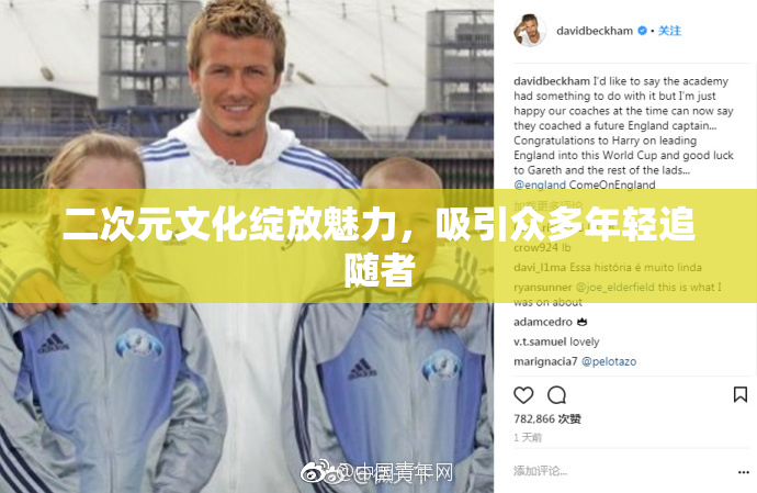 二次元文化绽放魅力，吸引众多年轻追随者