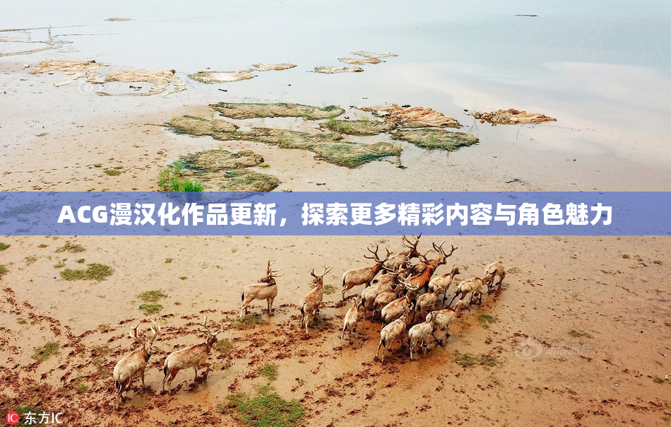 ACG漫汉化作品更新，探索更多精彩内容与角色魅力