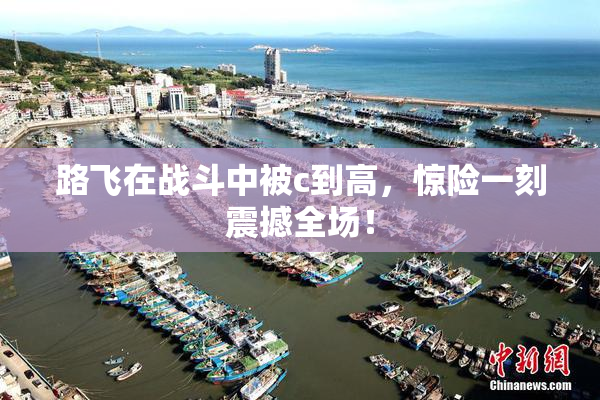 路飞在战斗中被c到高，惊险一刻震撼全场！