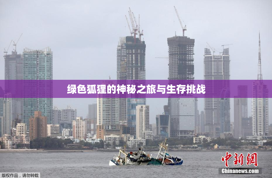 绿色狐狸的神秘之旅与生存挑战