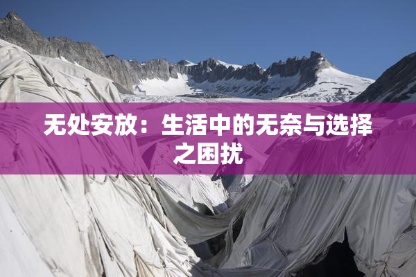 无处安放：生活中的无奈与选择之困扰