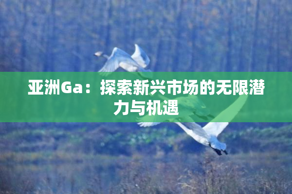 亚洲Ga：探索新兴市场的无限潜力与机遇