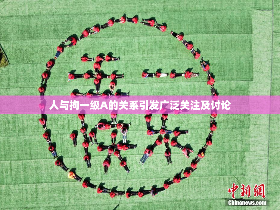人与拘一级A的关系引发广泛关注及讨论