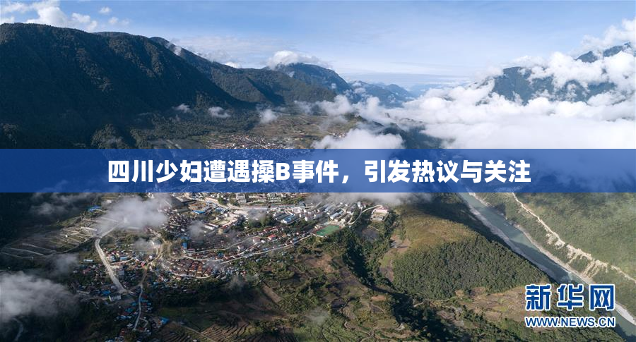 四川少妇遭遇搡B事件，引发热议与关注