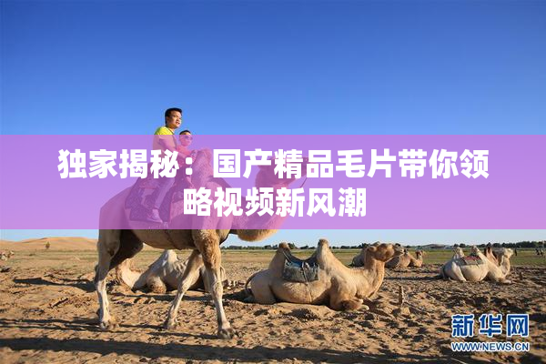 独家揭秘：国产精品毛片带你领略视频新风潮
