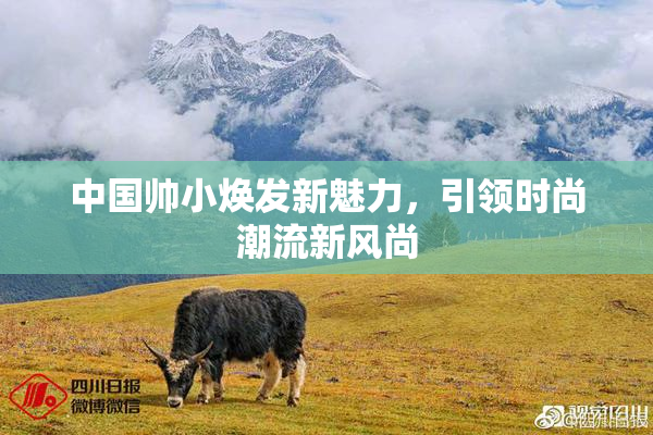 中国帅小焕发新魅力，引领时尚潮流新风尚