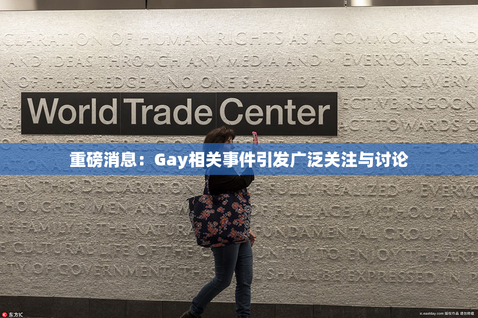 重磅消息：Gay相关事件引发广泛关注与讨论