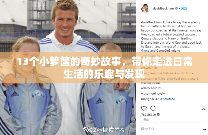 13个小箩筐的奇妙故事，带你走进日常生活的乐趣与发现