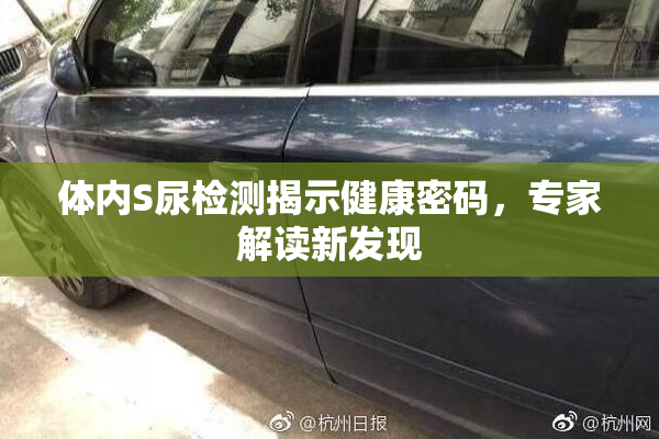 体内S尿检测揭示健康密码，专家解读新发现