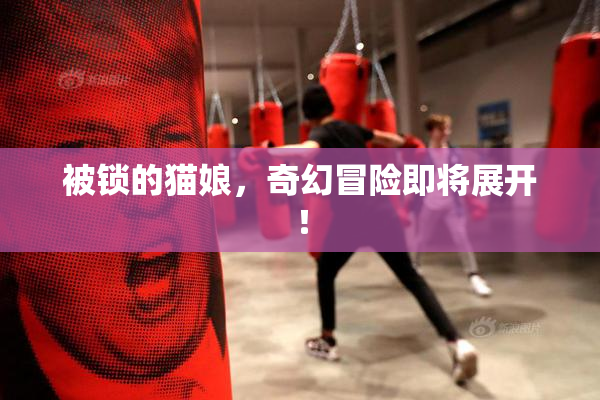 被锁的猫娘，奇幻冒险即将展开！