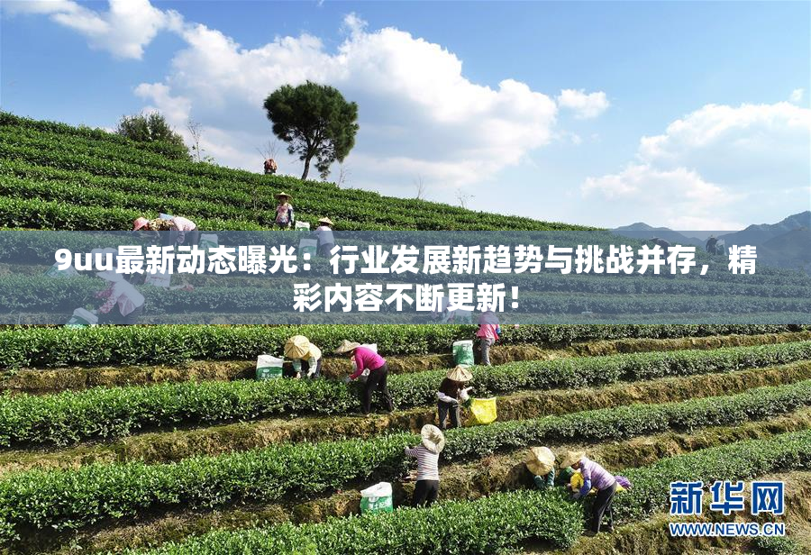 9uu最新动态曝光：行业发展新趋势与挑战并存，精彩内容不断更新！
