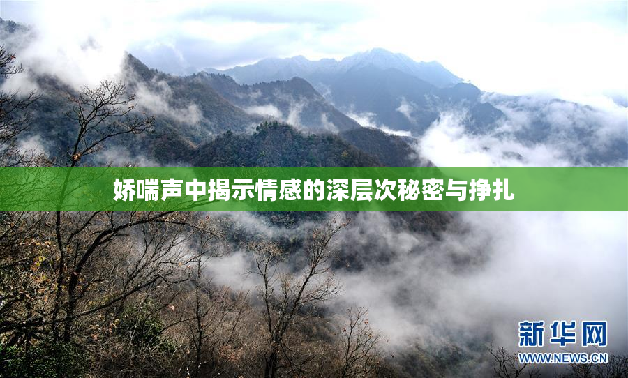 娇喘声中揭示情感的深层次秘密与挣扎