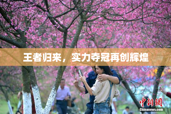 王者归来，实力夺冠再创辉煌