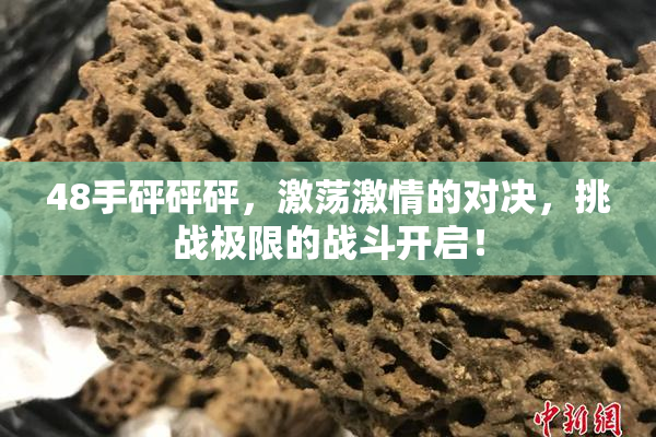 48手砰砰砰，激荡激情的对决，挑战极限的战斗开启！