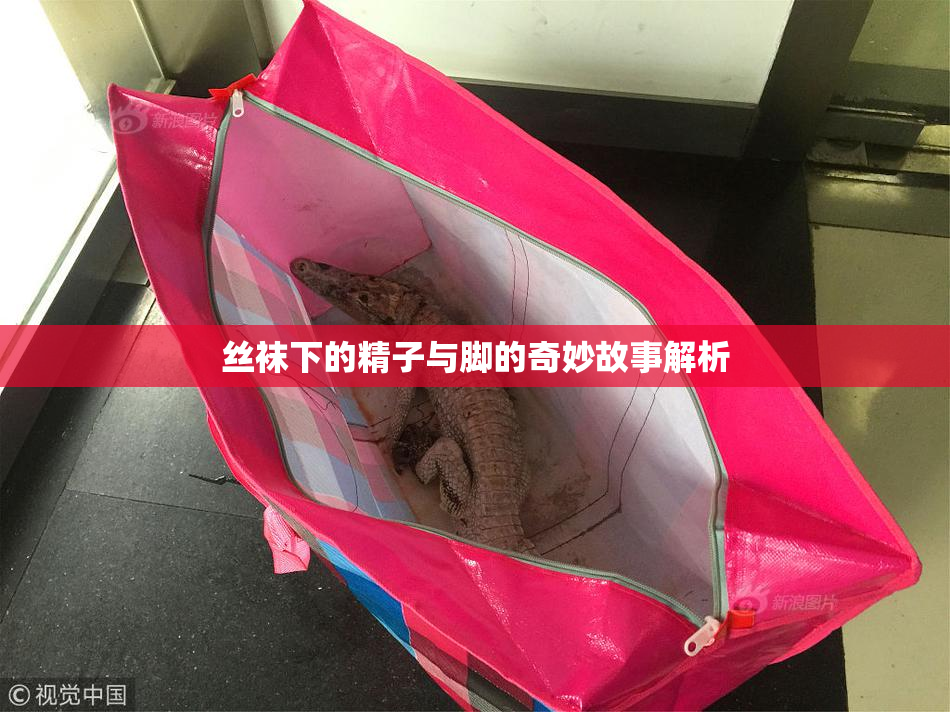 丝袜下的精子与脚的奇妙故事解析