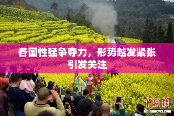 各国性猛争夺力，形势越发紧张引发关注