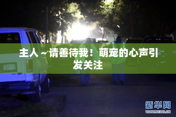 主人～请善待我！萌宠的心声引发关注