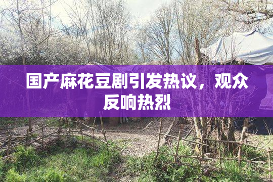 国产麻花豆剧引发热议，观众反响热烈