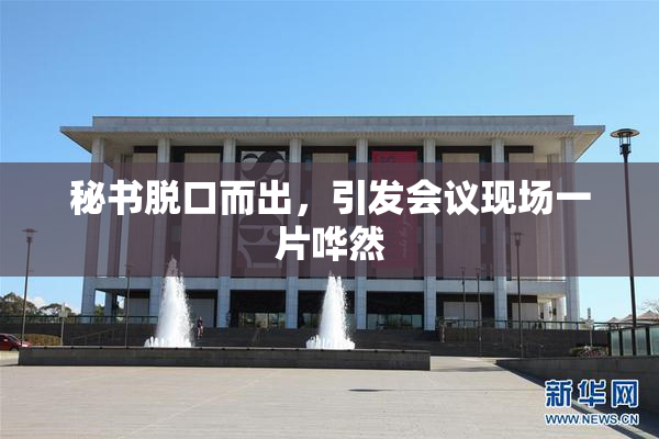秘书脱口而出，引发会议现场一片哗然