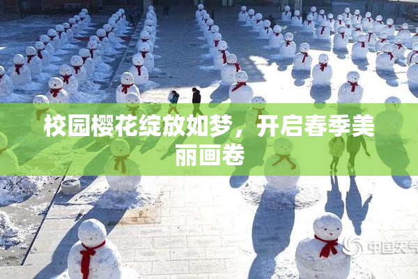 校园樱花绽放如梦，开启春季美丽画卷
