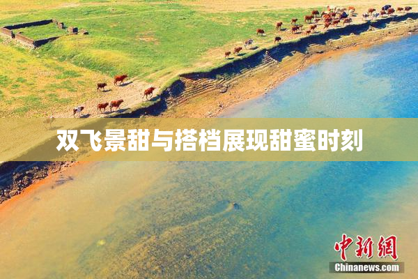 双飞景甜与搭档展现甜蜜时刻