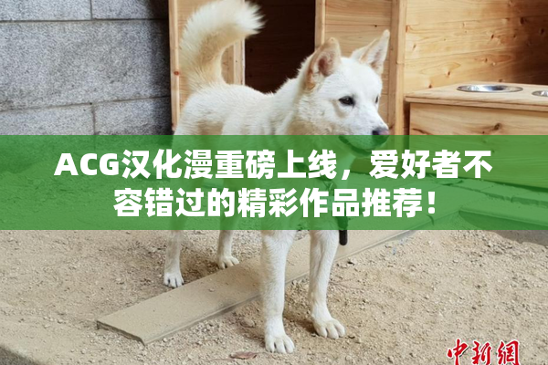 ACG汉化漫重磅上线，爱好者不容错过的精彩作品推荐！