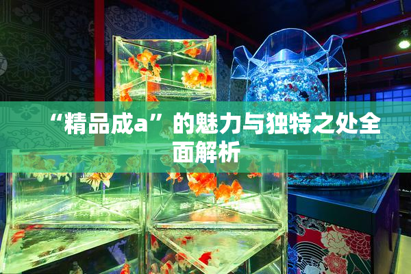 “精品成a”的魅力与独特之处全面解析
