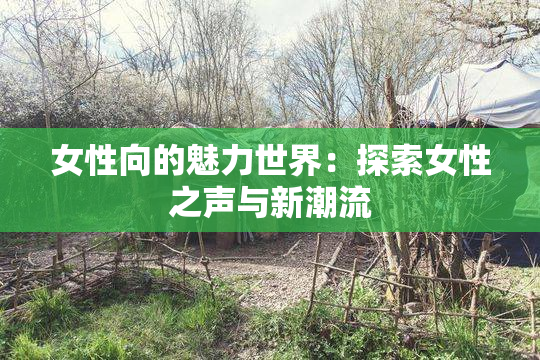 女性向的魅力世界：探索女性之声与新潮流