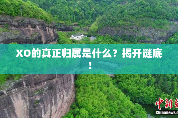 XO的真正归属是什么？揭开谜底！
