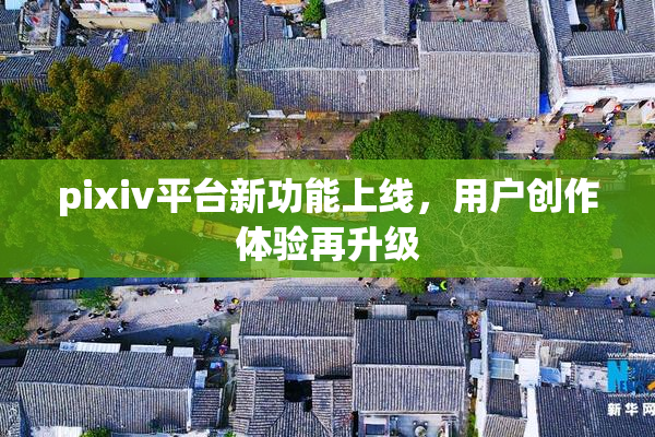 pixiv平台新功能上线，用户创作体验再升级