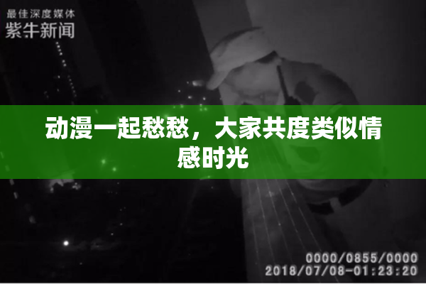 动漫一起愁愁，大家共度类似情感时光