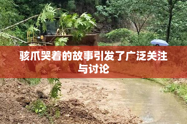 骇爪哭着的故事引发了广泛关注与讨论